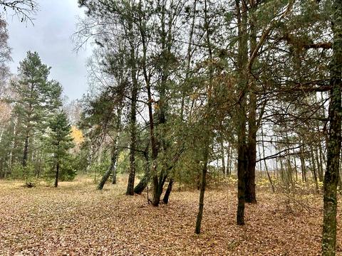 участок по адресу 