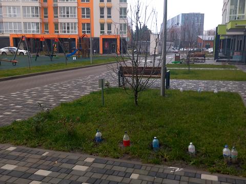 квартира по адресу Олеся Бердника ул., 1-В