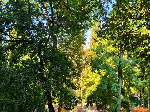 квартира за адресою Голосіївський просп. (40-річчя Жовтня), 114 к2