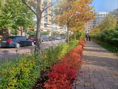 квартира за адресою Мартинова просп., 15