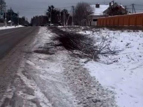 ділянка за адресою 