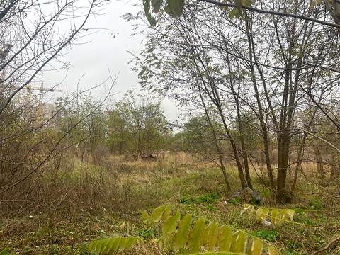 ділянка за адресою Милославська вул.