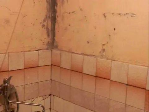 квартира по адресу Ивана Дзюбы ул. (Сімʼї Сосніних), 12