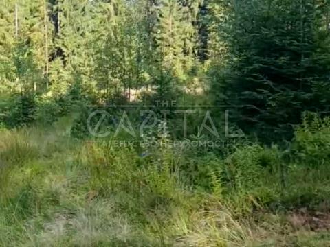 участок по адресу с. Яблоница, 