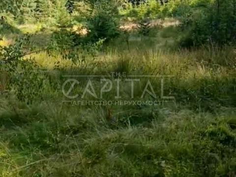 участок по адресу с. Яблоница, 