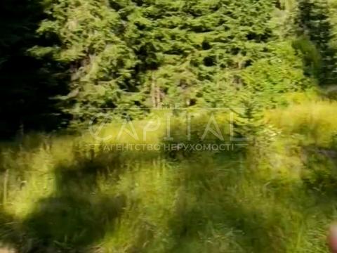 участок по адресу с. Яблоница, 