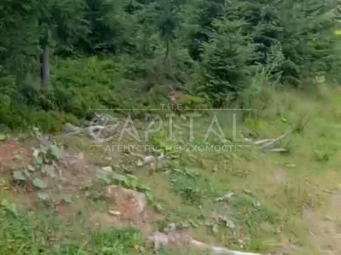 участок по адресу с. Яблоница, 