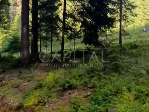 участок по адресу с. Яблоница, 