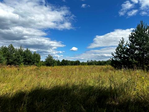 ділянка за адресою 