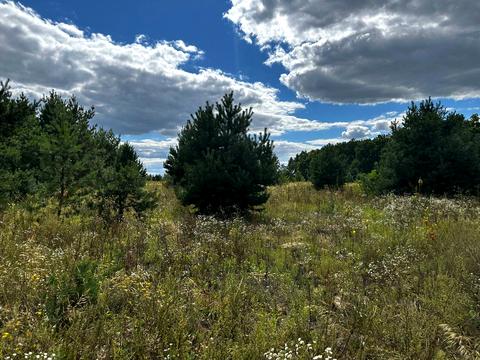 участок по адресу 