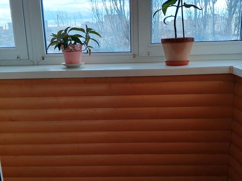 квартира по адресу Академика Булаховского ул., 42/43