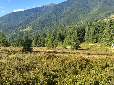 ділянка за адресою с. Колочава, 