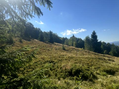 ділянка за адресою с. Колочава, 