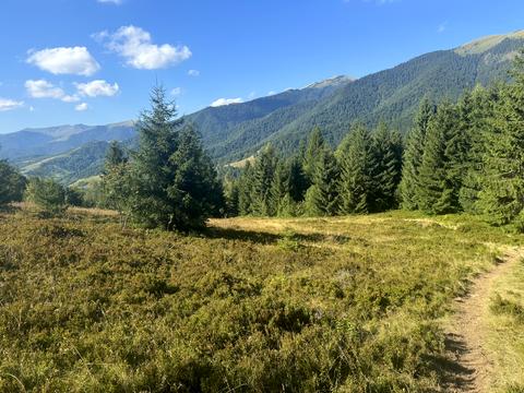 ділянка за адресою с. Колочава, 