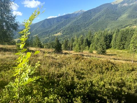 ділянка за адресою с. Колочава, 