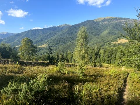 ділянка за адресою с. Колочава, 