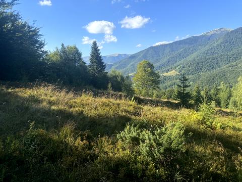 ділянка за адресою с. Колочава, 