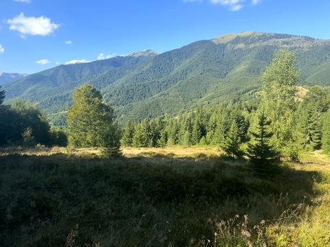 ділянка за адресою с. Колочава, 