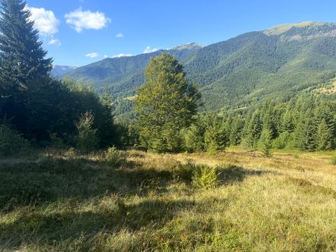 ділянка за адресою с. Колочава, 