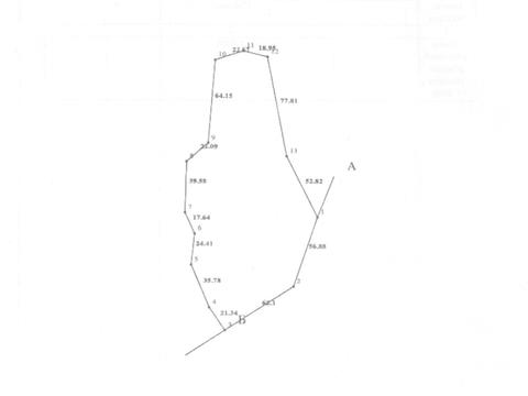 ділянка за адресою с. Колочава, 
