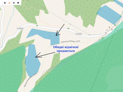 ділянка за адресою с. Колочава, 