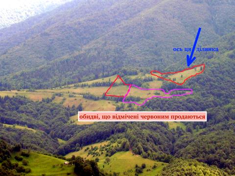 ділянка за адресою с. Колочава, 