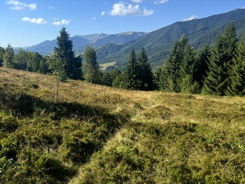 ділянка за адресою с. Колочава, 