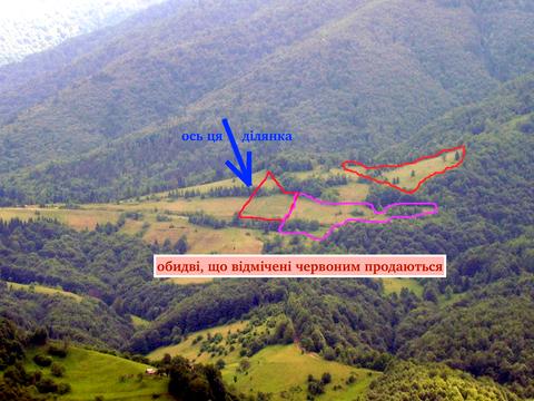 ділянка за адресою с. Колочава, 