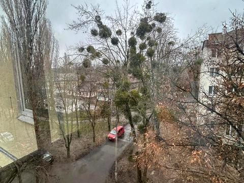 квартира по адресу Ушинского ул., 3