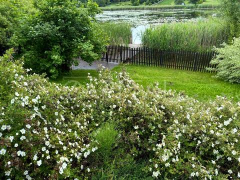 дом по адресу Шевченка, 90Б