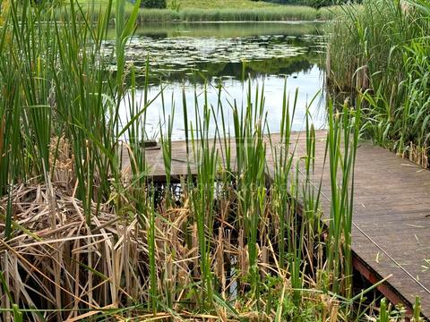 дом по адресу Шевченка, 90Б