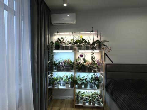 квартира за адресою Тираспольська вул., 58