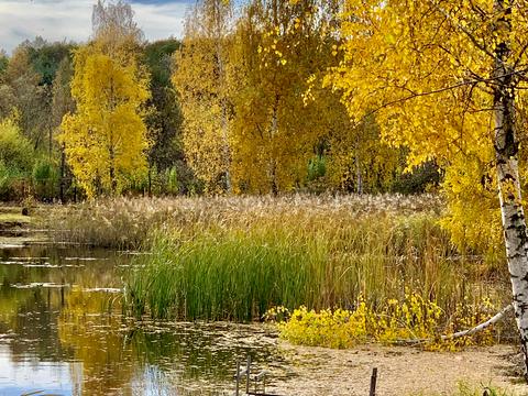 будинок за адресою Садова, 12