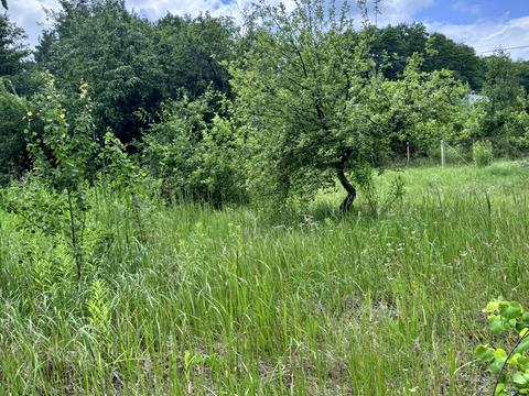 ділянка за адресою Ромашек