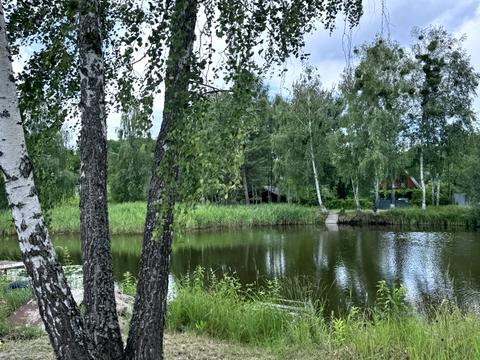 ділянка за адресою Ромашек