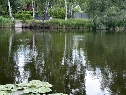 ділянка за адресою Ромашек