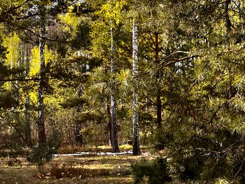 ділянка за адресою с. Озерщина, Енергетиків