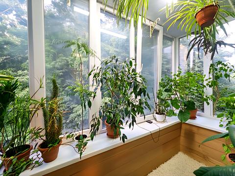 квартира по адресу Михаила Бойчука ул. (Киквидзе), 23