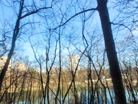 квартира за адресою Кадетський Гай вул., 10