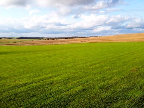 участок по адресу пгт. Козин, Лобановского ул.