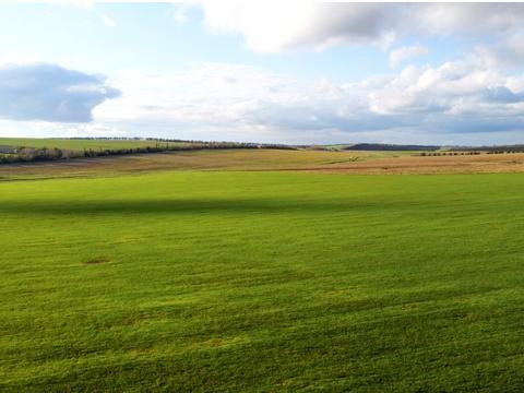 участок по адресу пгт. Козин, Лобановского ул.