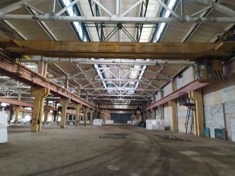 комерційна за адресою Поліграфічна, 1