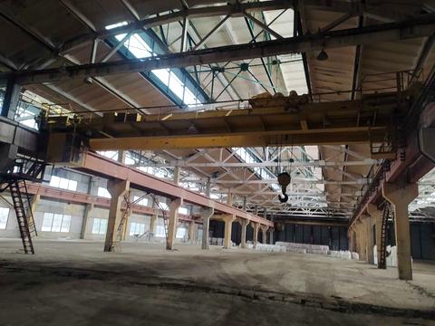 комерційна за адресою Поліграфічна, 1