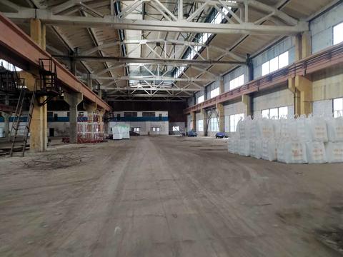 комерційна за адресою Поліграфічна, 1