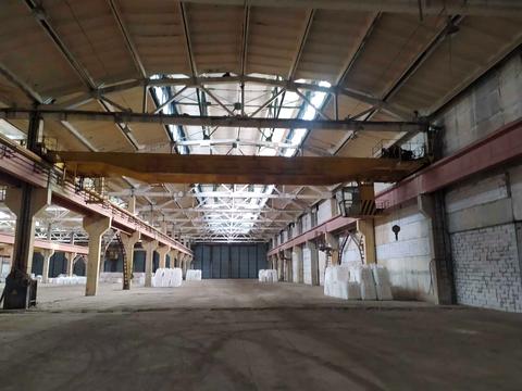 комерційна за адресою Поліграфічна, 1