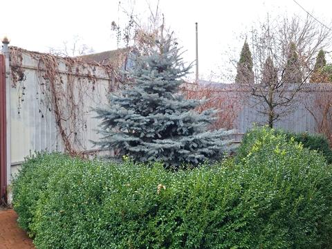 дом по адресу с. Осещина, Луговий пр