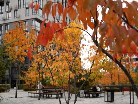 квартира по адресу Салютная ул., 2к18