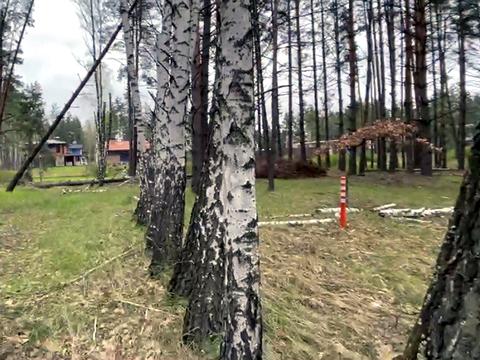 ділянка за адресою Сагайдачного вул., 50