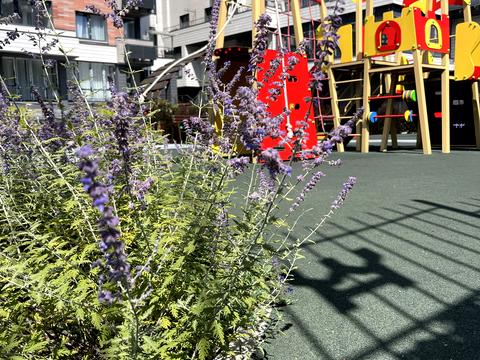 квартира за адресою Костанайська вул., 13