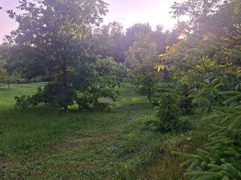 участок по адресу 